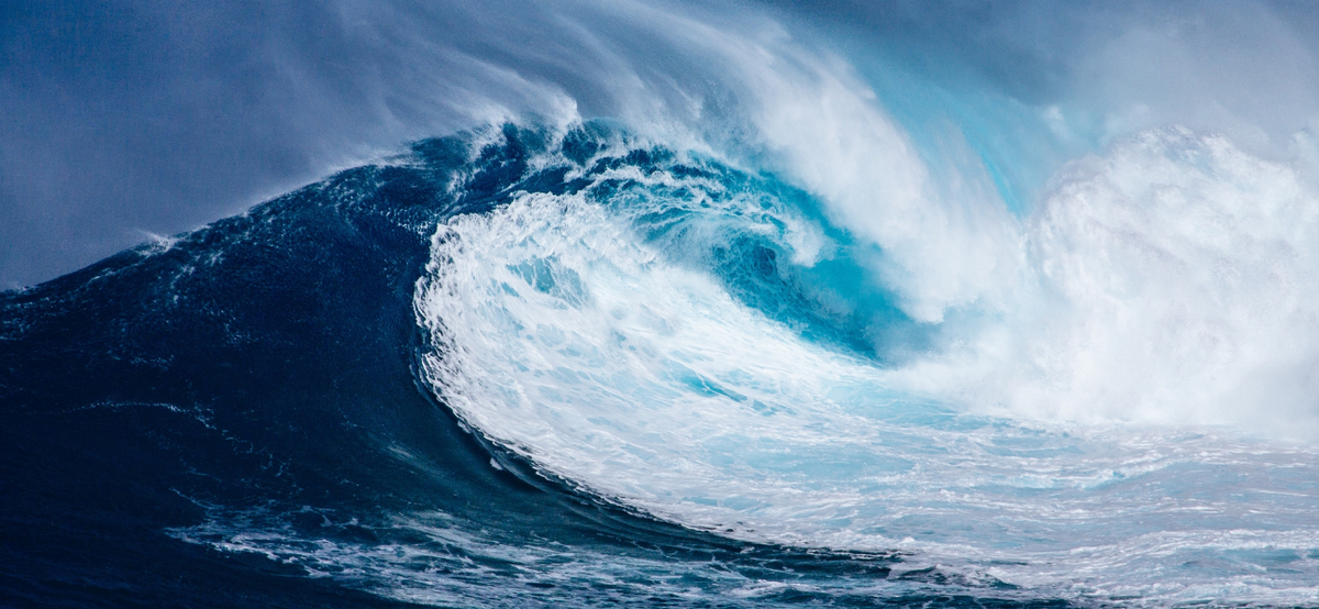 WAVE MAKER GEAR – Live by Water