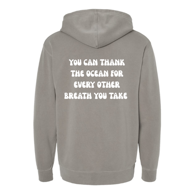 Create Awareness Hoodie - Thank the Ocean
