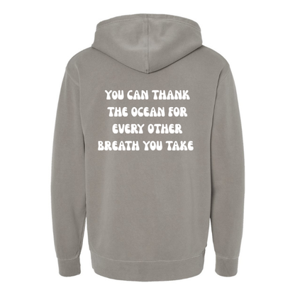 Create Awareness Hoodie - Thank the Ocean