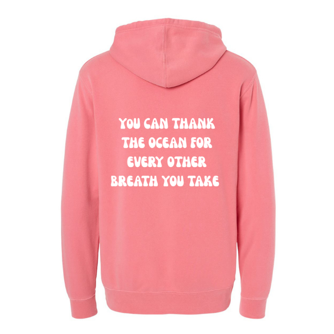 Create Awareness Hoodie - Thank the Ocean