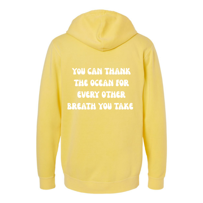 Create Awareness Hoodie - Thank the Ocean