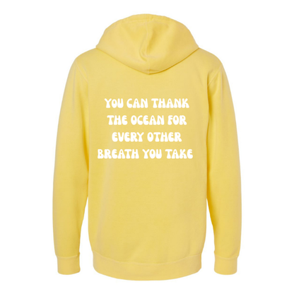 Create Awareness Hoodie - Thank the Ocean