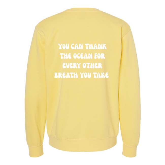Create Awareness Crewneck-Thank the Ocean