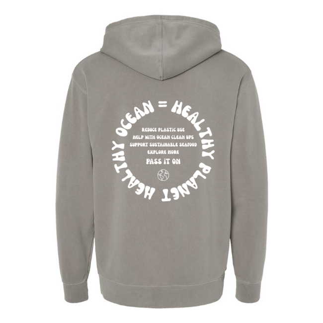 Create Awareness Hoodie - Healthy Ocean & Ways to Help