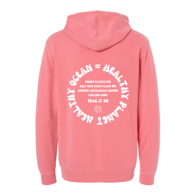 Create Awareness Hoodie - Healthy Ocean & Ways to Help