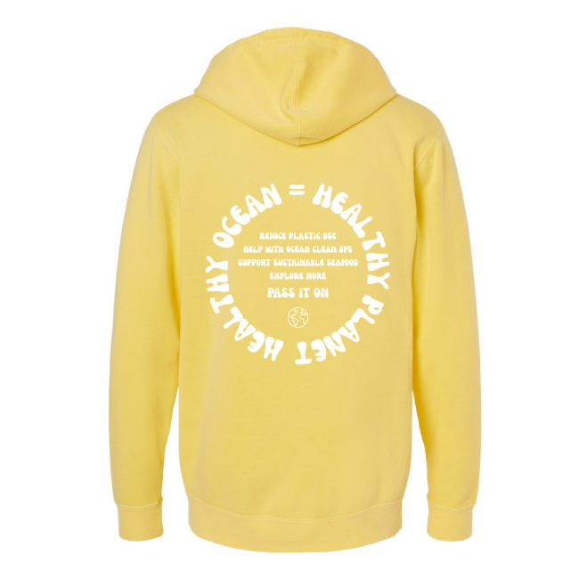 Create Awareness Hoodie - Healthy Ocean & Ways to Help