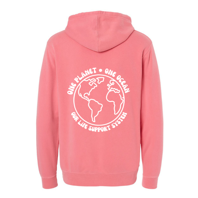 Create Awareness Hoodie-Our Life Support