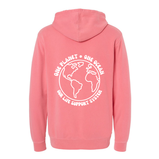 Create Awareness Hoodie-Our Life Support