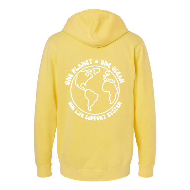 Create Awareness Hoodie-Our Life Support
