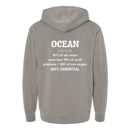 Create Awareness Hoodie-Ocean Facts