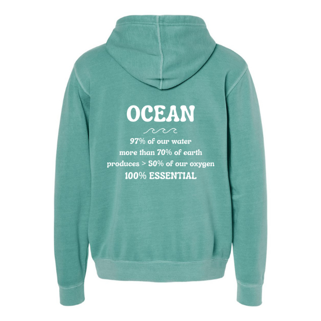 Create Awareness Hoodie-Ocean Facts