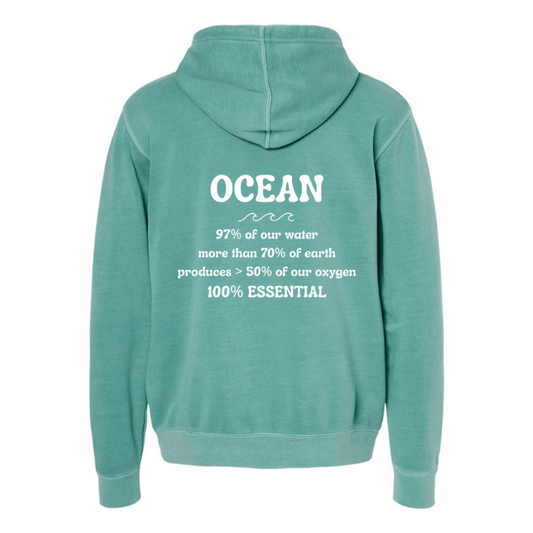 Create Awareness Hoodie-Ocean Facts