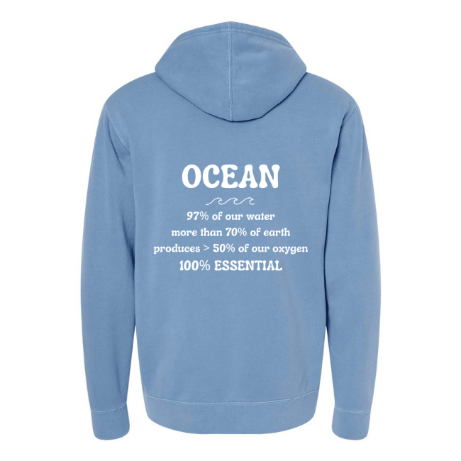 Create Awareness Hoodie-Ocean Facts