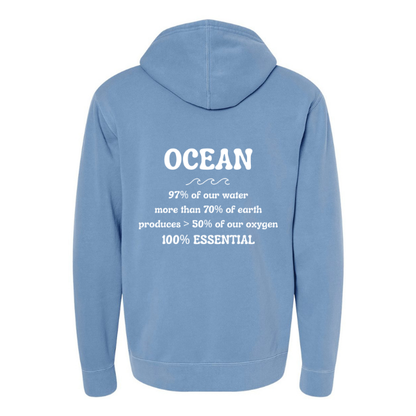 Create Awareness Hoodie-Ocean Facts