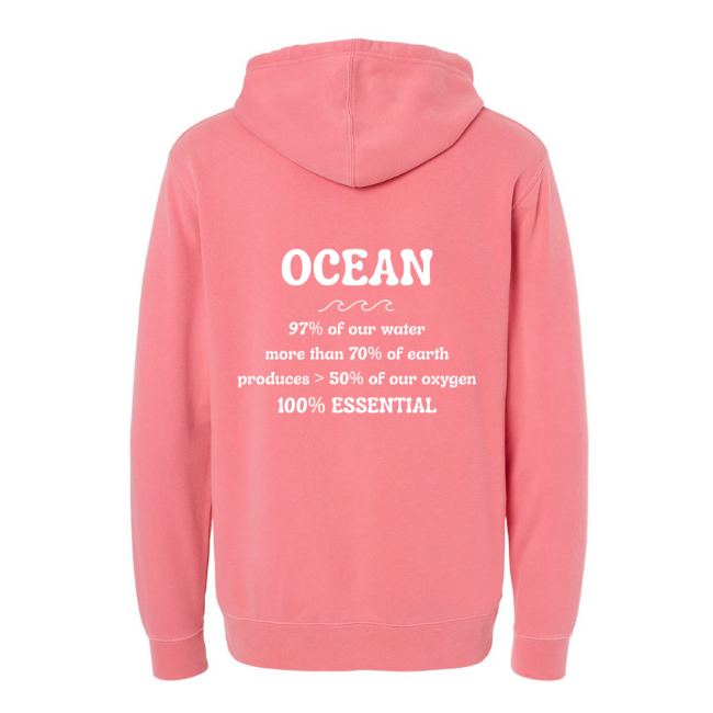 Create Awareness Hoodie-Ocean Facts