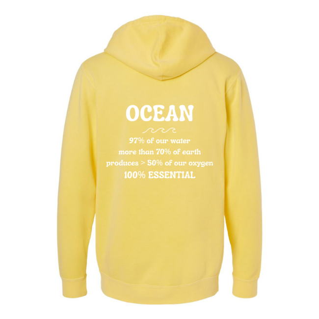 Create Awareness Hoodie-Ocean Facts