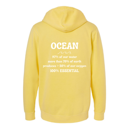 Create Awareness Hoodie-Ocean Facts