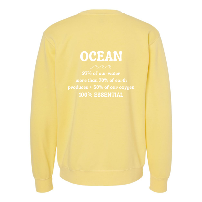 Create Awareness Crewneck-Ocean Facts