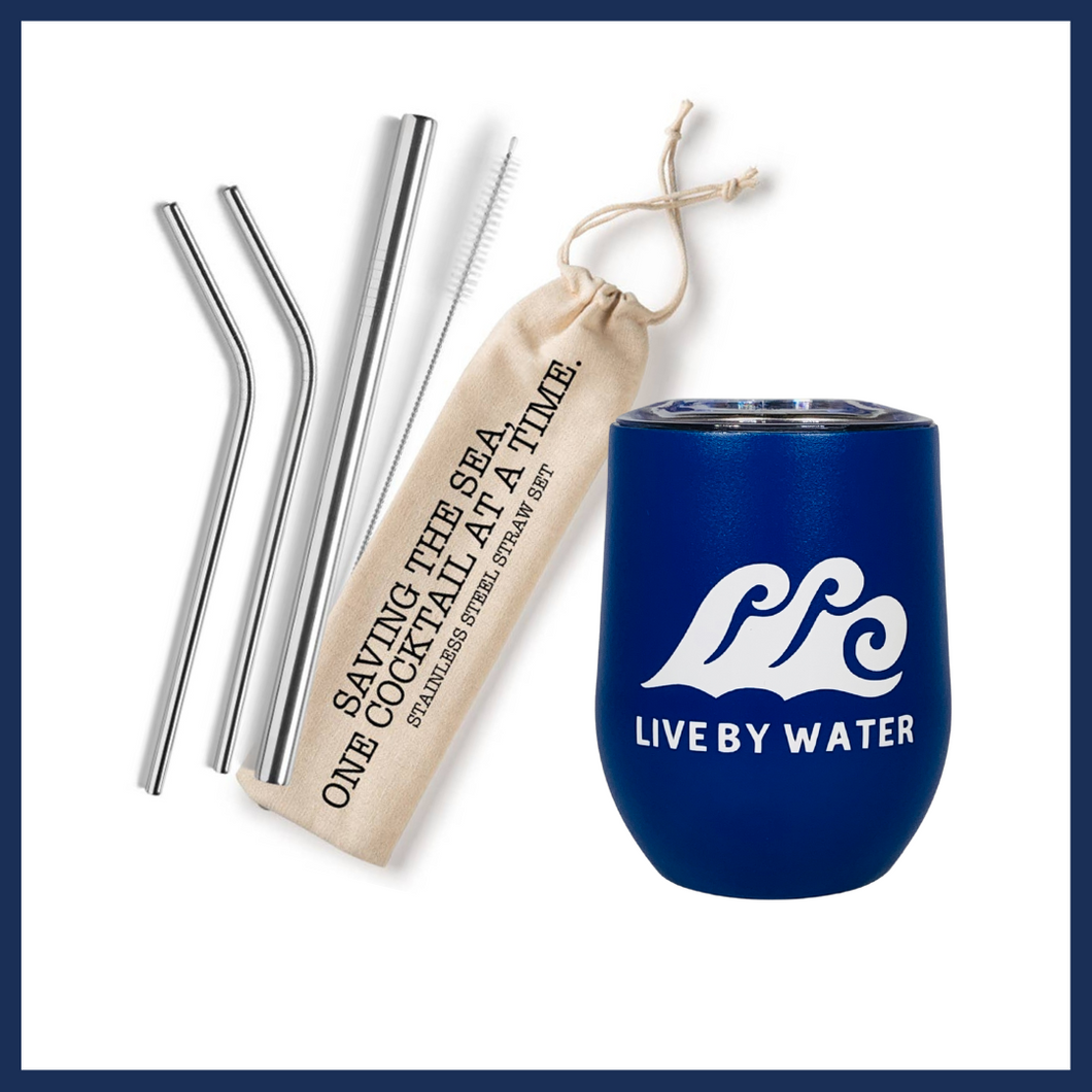 Wine Tumbler & Reusable Straw Set Gift Package