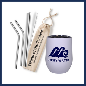 Wine Tumbler & Reusable Straw Set Gift Package